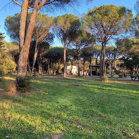 Residence Gabrielle Le Cannet Des Maures Luaran gambar